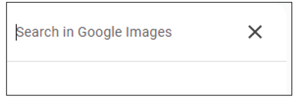 google image search box